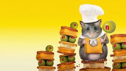 Un Topolino Sotto Sfratto