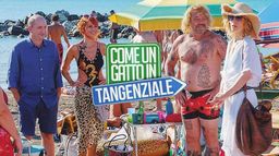 Come un gatto in tangenziale