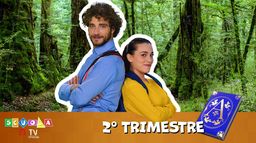 Scuola TIMVISION - Seconda Elementare - Secondo Trimestre