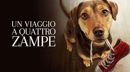 Un viaggio a quattro zampe