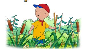 Avventura al Polo Sud / Alla scoperta del mondo marino / La gita al lago