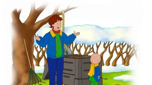 Una spremuta buonissima / Lo spettacolo di burattini / La collezione di pietre