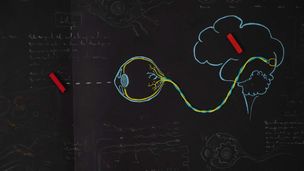 Ipovedenti e non vedenti