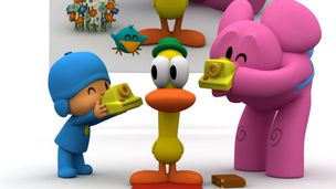 Pato-scatto