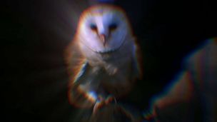 E2