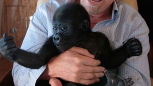 Il sogno diventa realtà