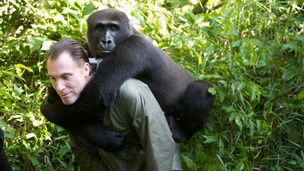 Una lezione per tutti