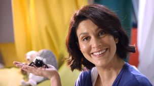 Il gioco del ragnetto