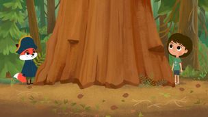 Piccolo grande albero