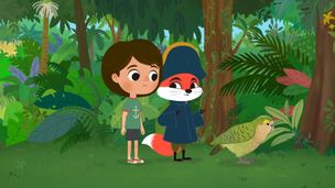 Nella foresta della Nuova Zelanda