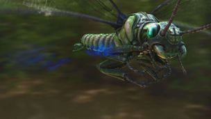 Ep. 1 - Perchè sono scomparsi gli...