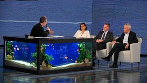 Le interviste del 12/11/23