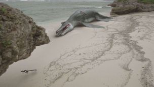 Ep. 2 - Il mistero dei draghi piumati