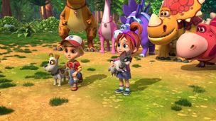 Il Parco Giochi Per Animali