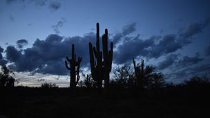 In Arizona