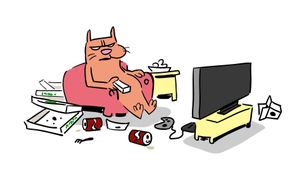 Gli animali domestici inquinano?