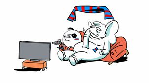 Il gioco del calcio inquina?