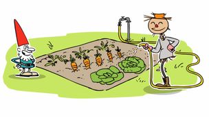 La campagna e l’ambiente pulito