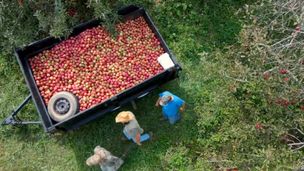 Eccessi