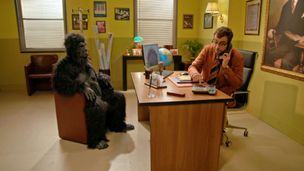 Maschi & Gorilla