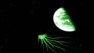 Il misterioso calamaro spaziale