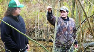 Bigfoot in Indiana