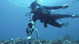 Il tesoro di Henry Morgan