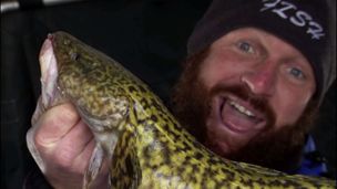 Eelpout Festival