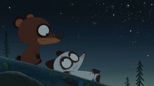 La costellazione del procione