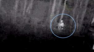 Bigfoot in Alabama