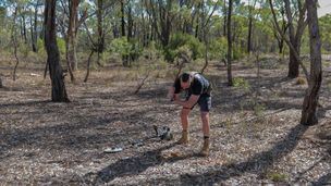 Tesori nascosti e dove trovarli