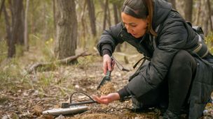 Ritorno a Cliftonwood