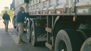 Ripieni insospettabili