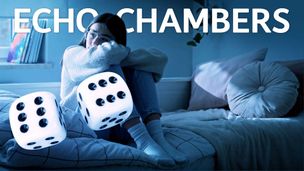 EcoChambers