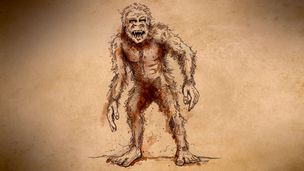 Il mistero del Wildman del Minnesota