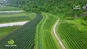 Puntata del 2 giugno