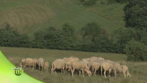 Puntata del 15 marzo - Seconda parte