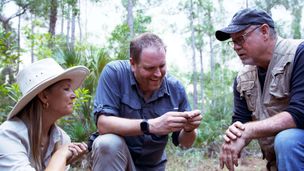 Il tesoro delle Everglades