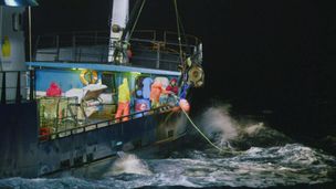 Il Mare di Bering