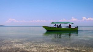 Paradiso Ai Caraibi Cercasi