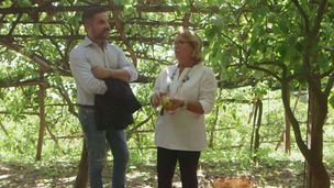 Delizia al limone e wedding cake