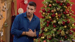Damiano Carrara e il Natale Americano
