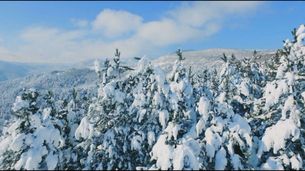 Ep. 4 - Inverno
