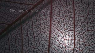 Ep. 1 - Il mondo al microscopio