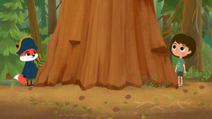 Piccolo grande albero