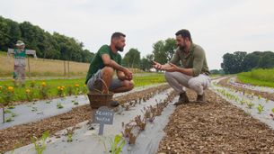 Episodio 7