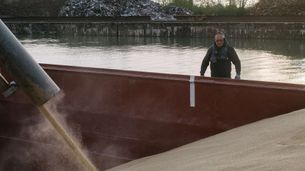 Episodio 8