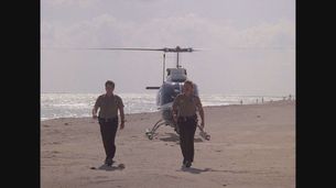 Così è Miami