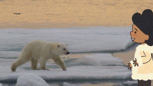 Orso polare