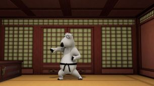 Il karate